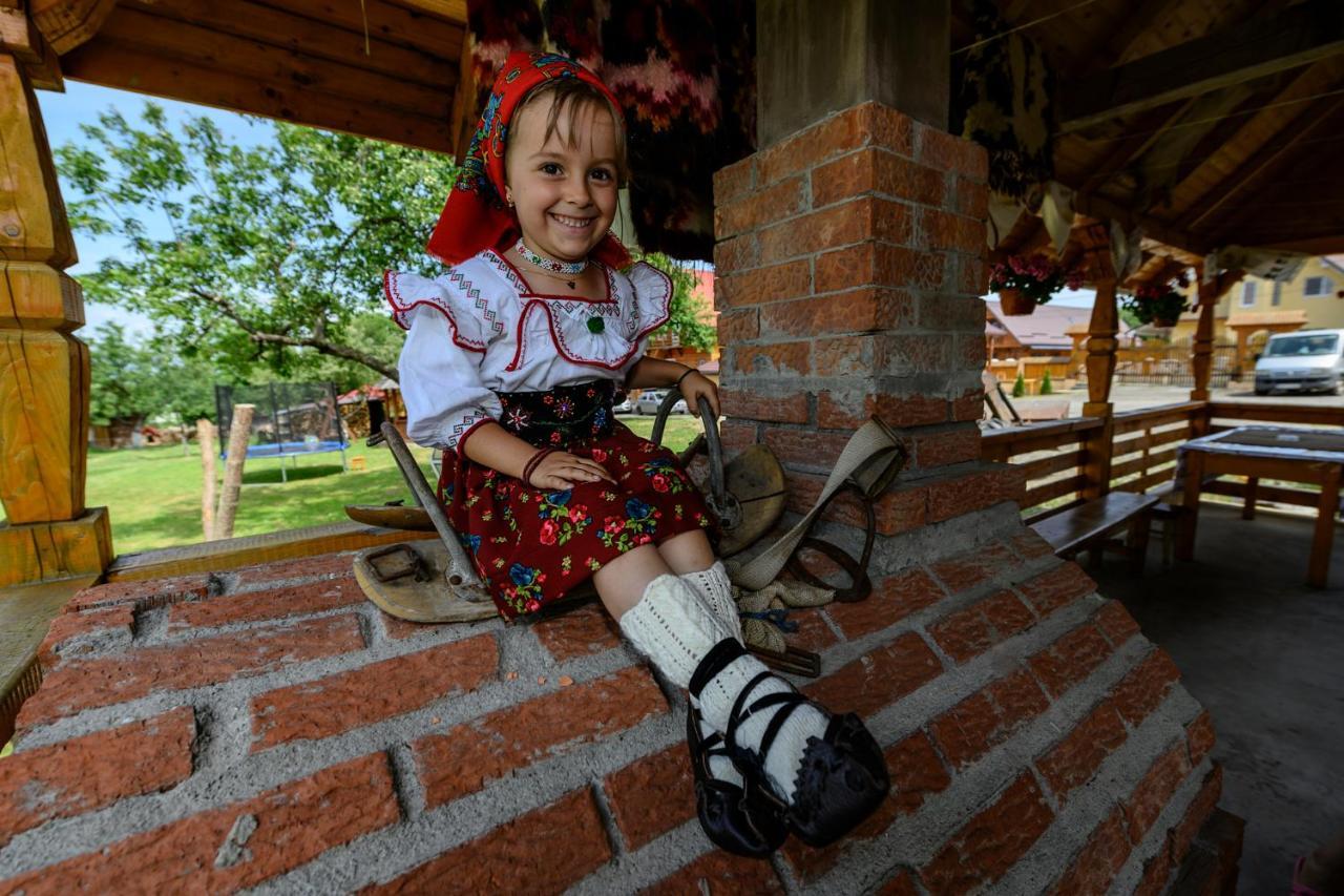 Pensiune Agroturistica "Casa Teodora" Budeşti 외부 사진