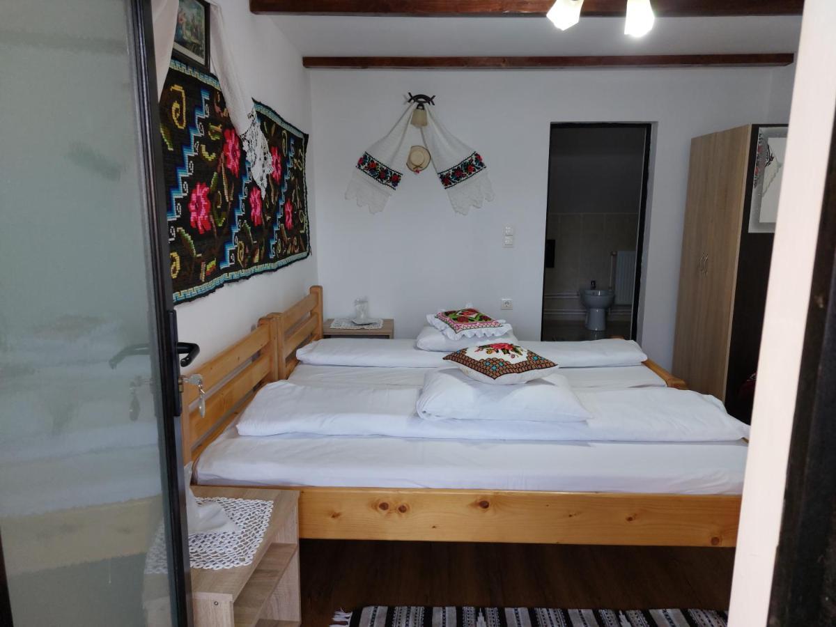 Pensiune Agroturistica "Casa Teodora" Budeşti 외부 사진