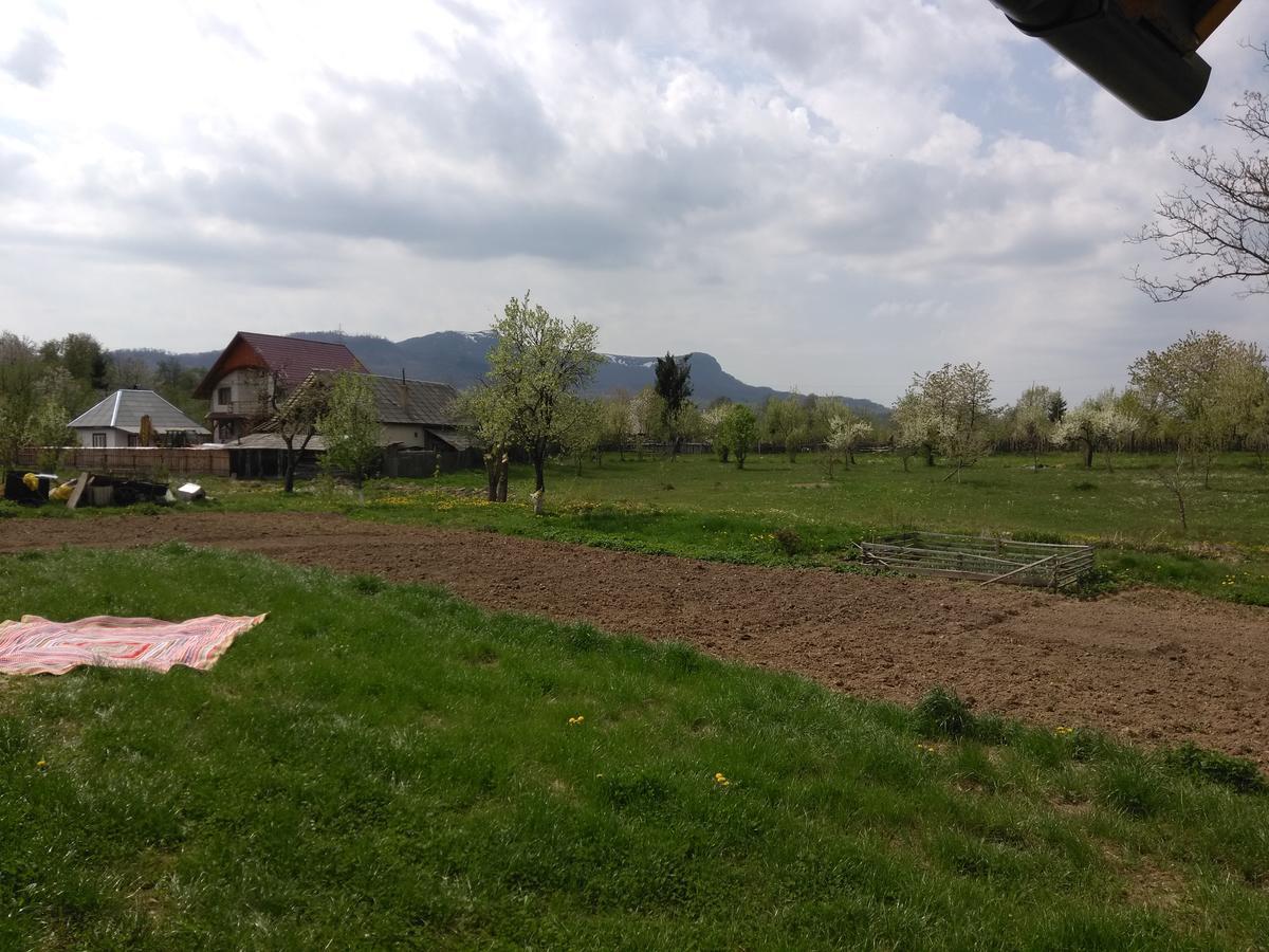 Pensiune Agroturistica "Casa Teodora" Budeşti 외부 사진
