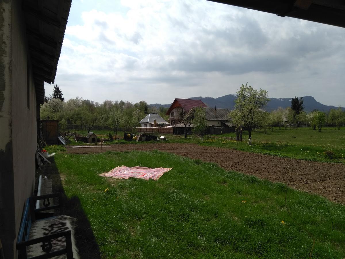 Pensiune Agroturistica "Casa Teodora" Budeşti 외부 사진