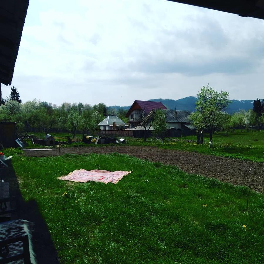 Pensiune Agroturistica "Casa Teodora" Budeşti 외부 사진
