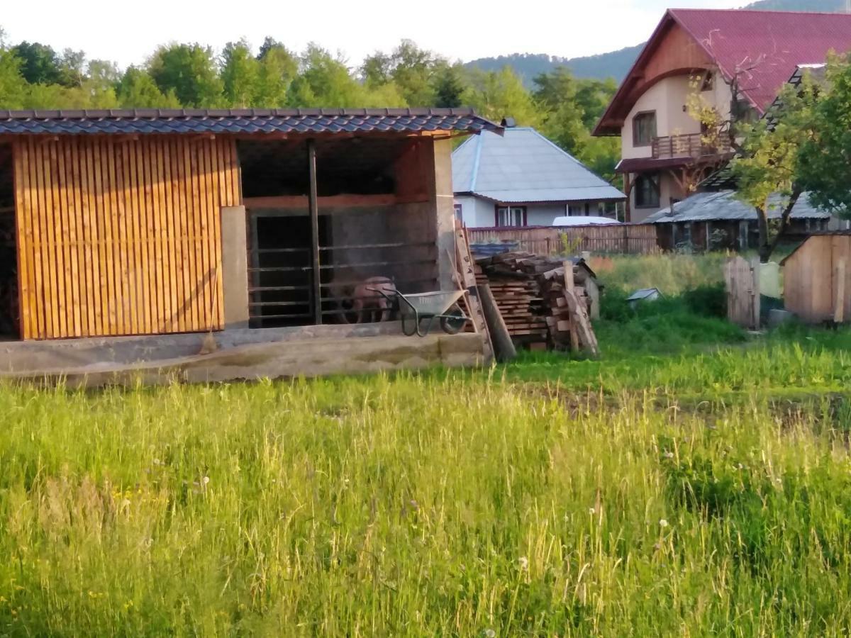 Pensiune Agroturistica "Casa Teodora" Budeşti 외부 사진